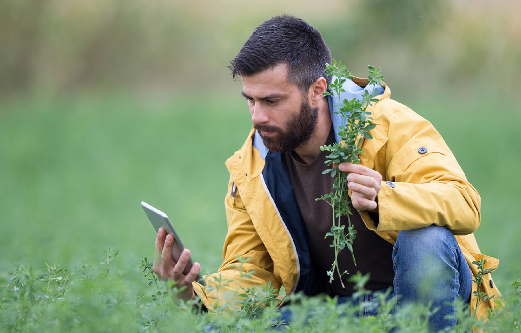 Sfeerbeeld van een boer die gewassen inspecteert terwijl deze op diens mobiele telefoon kijkt.