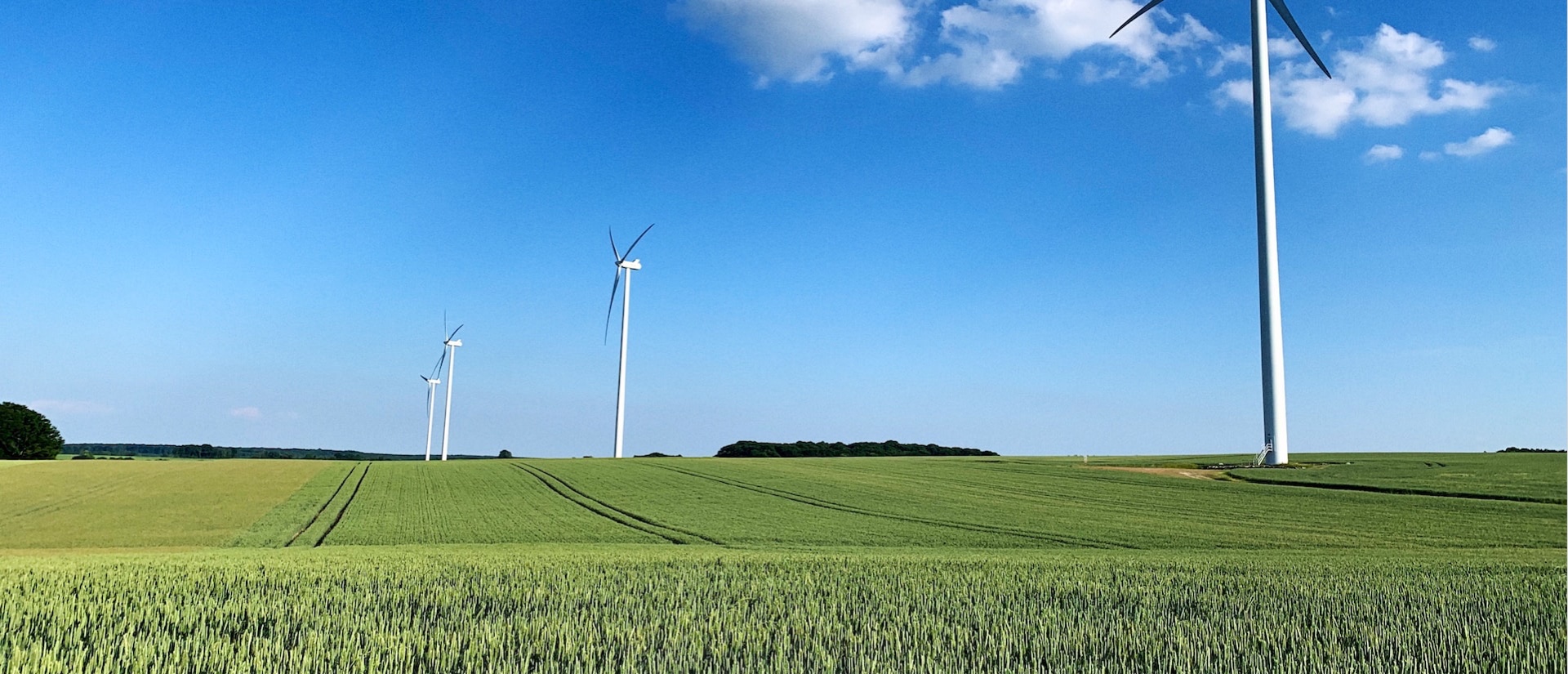 Afbeelding van windmolens in het gras met een blauwe lucht.